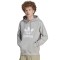 ADIDAS ORIGINALS IM4490 Men's Hoodie with Hood