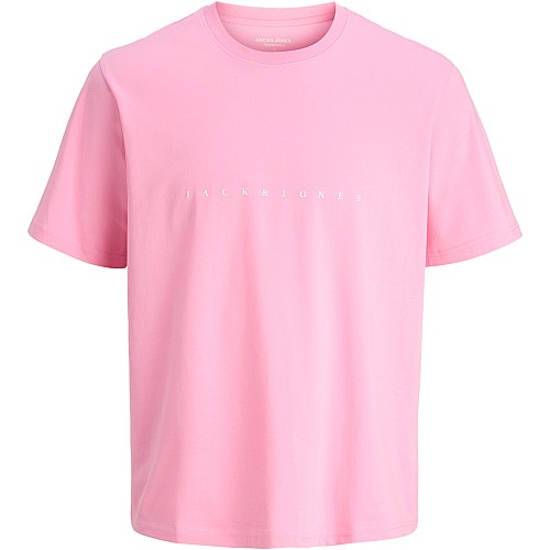 Ανδρικό T-Shirt Με Κοντό Μανίκι 12234746