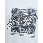 Jack & Jones Crew Neck T-shirt