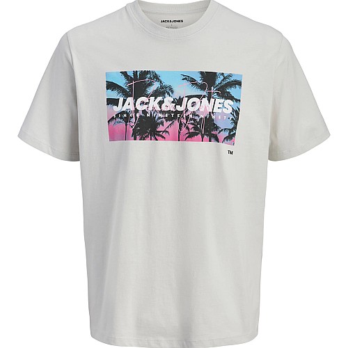 12288112 ΑΝΔΡΙΚΗ ΜΠΛΟΥΖΑ Κ.Μ JJINDIANA CREW NECK L
