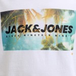 12288112 ΑΝΔΡΙΚΗ ΜΠΛΟΥΖΑ Κ.Μ JJINDIANA CREW NECK L 12288112 ΑΝΔΡΙΚΗ ΜΠΛΟΥΖΑ Κ.Μ JJINDIANA CREW NECK L