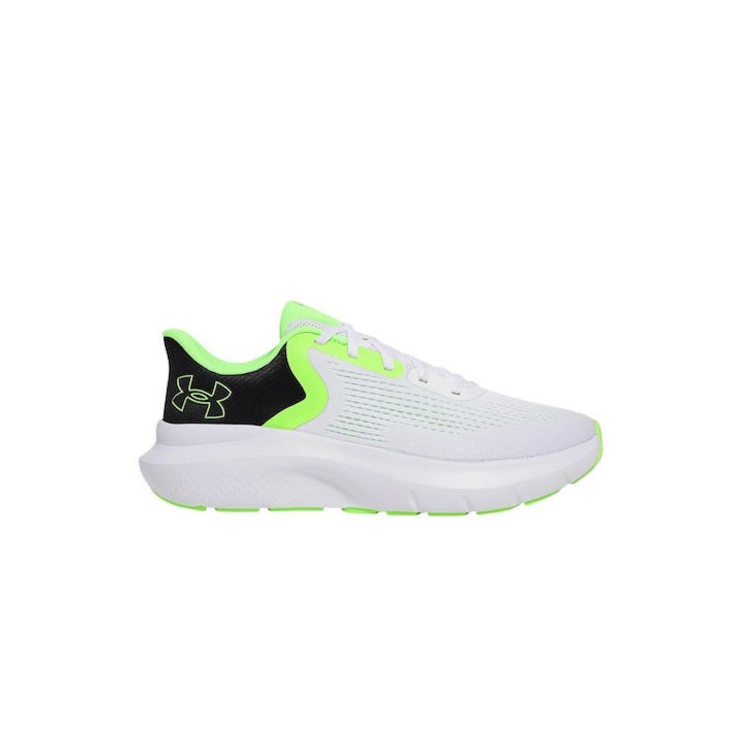 Under Armour Charged Rogue 5 Ανδρικά Αθλητικά Παπούτσια Running Κωδικός: 3028256-001