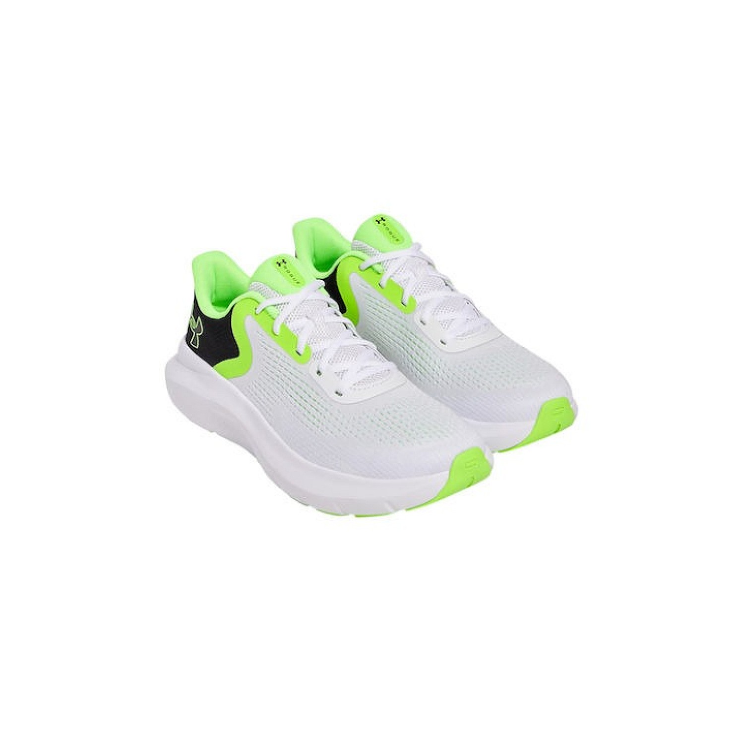 Under Armour Charged Rogue 5 Ανδρικά Αθλητικά Παπούτσια Running Κωδικός: 3028256-001