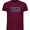 Navy & Green Ανδρικό T-Shirt Custom Fit 100% Βαμβάκι