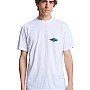 Quiksilver Everydaybeach Blast T-shirt
