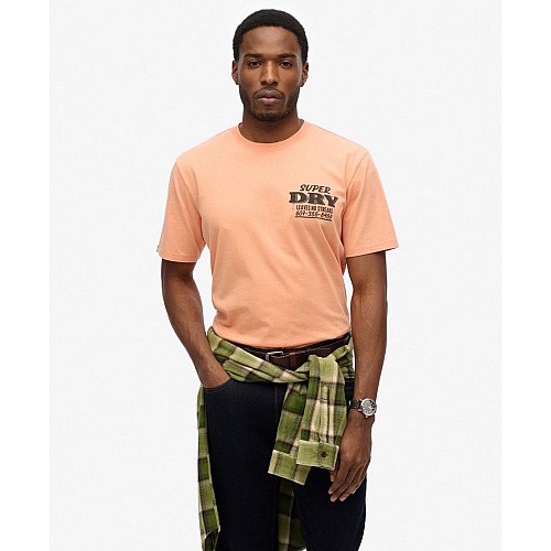 Superdry D2 Ovin T-shirt