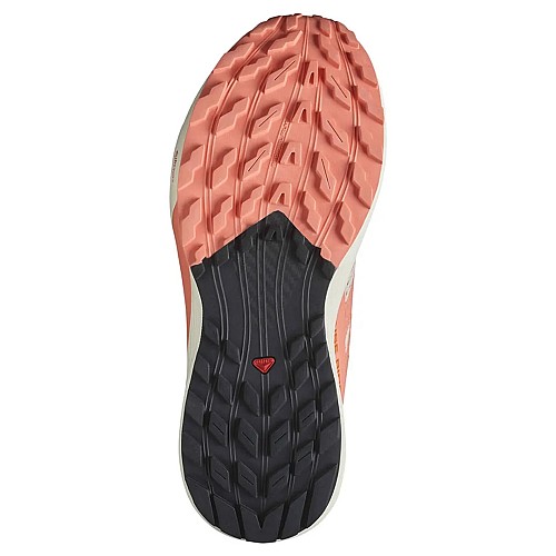 Salomon Sense Ride 5 Γυναικεία Αθλητικά Παπούτσια Running Κωδικός: L47808700