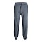 Ανδρικό Παντελόνι Φόρμας Gordon Bradley JACK & JONES