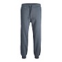 Ανδρικό Παντελόνι Φόρμας Gordon Bradley JACK & JONES