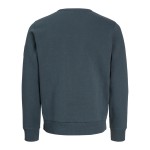 Ανδρικό Φούτερ Cleveland Crew Neck Jack & Jones