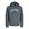 Ανδρικό Φούτερ με Κουκούλα Denver Logo JACK & JONES