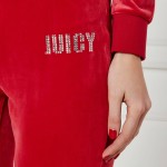 Γυναικείο Παντελόνι Φόρμας Velour με Λογότυπο JUICY COUTURE