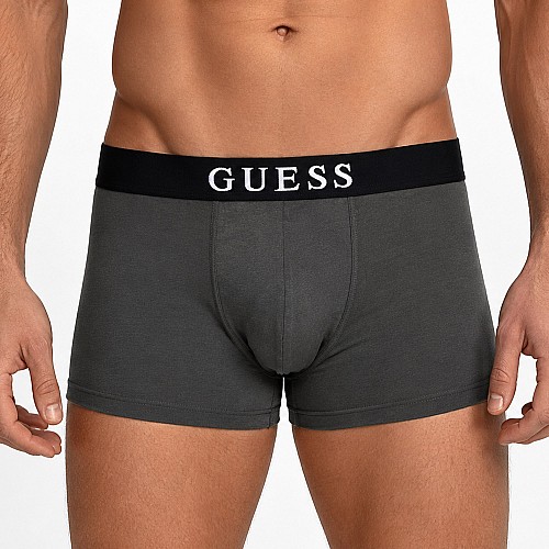 Ανδρικό Μποξεράκι Trunk με Λογότυπο GUESS