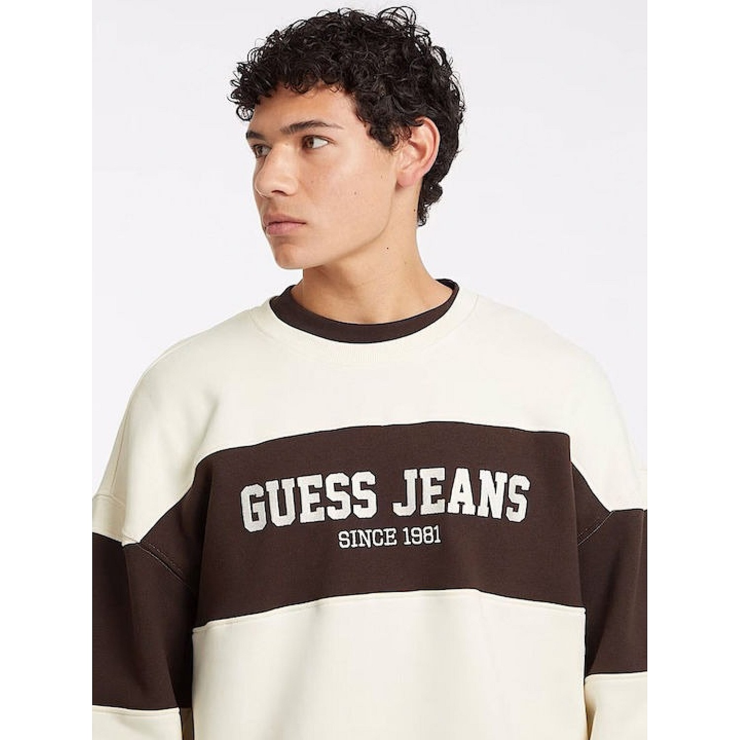 Ανδρικό Φούτερ με Λογότυπο GUESS Jeans