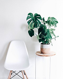item-3