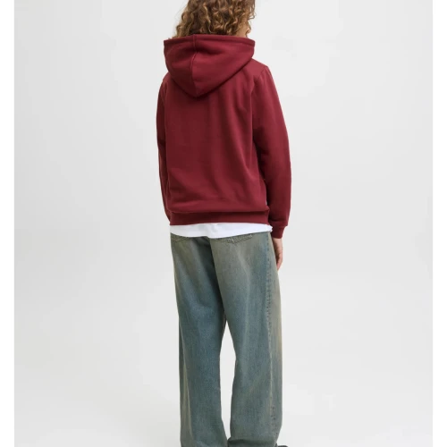 JACK & JONES Γυναικεία Φούτερ Μπλούζα Abbie 12223961