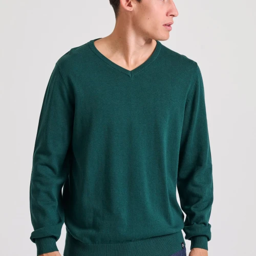 FUNKY BUDDHA Ανδρικό πουλόβερ με V λαιμόκοψη - The essentials