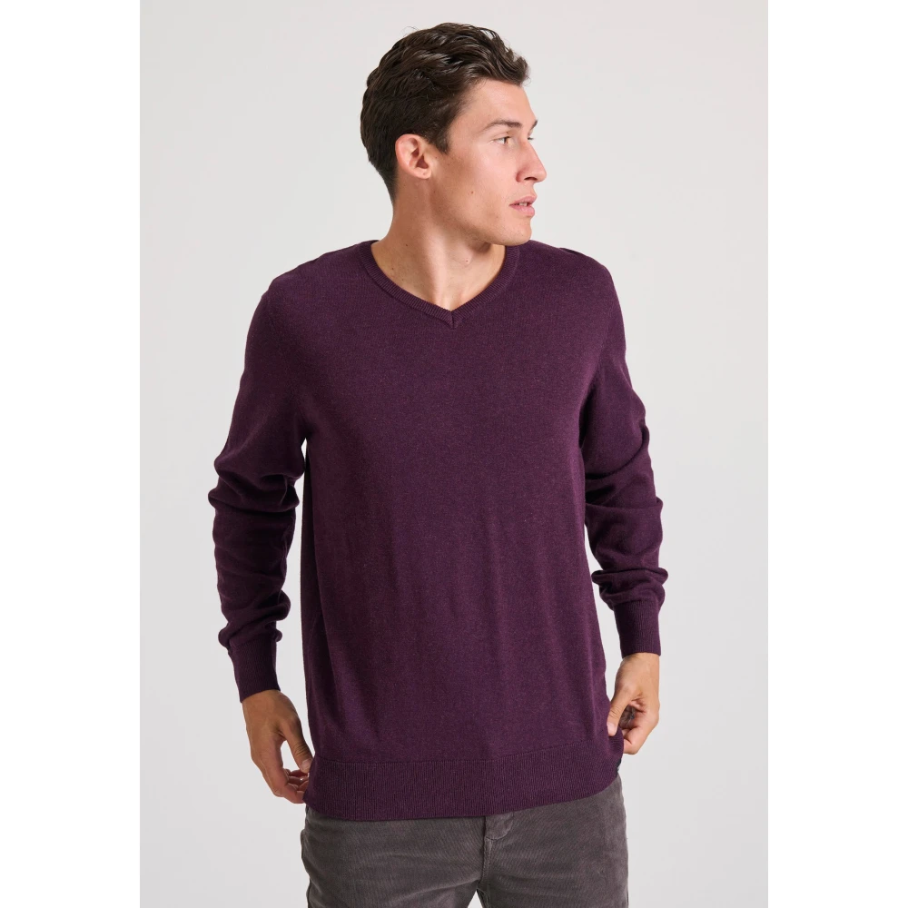 FUNKY BUDDHA Ανδρικό πουλόβερ με V λαιμόκοψη - The essentials