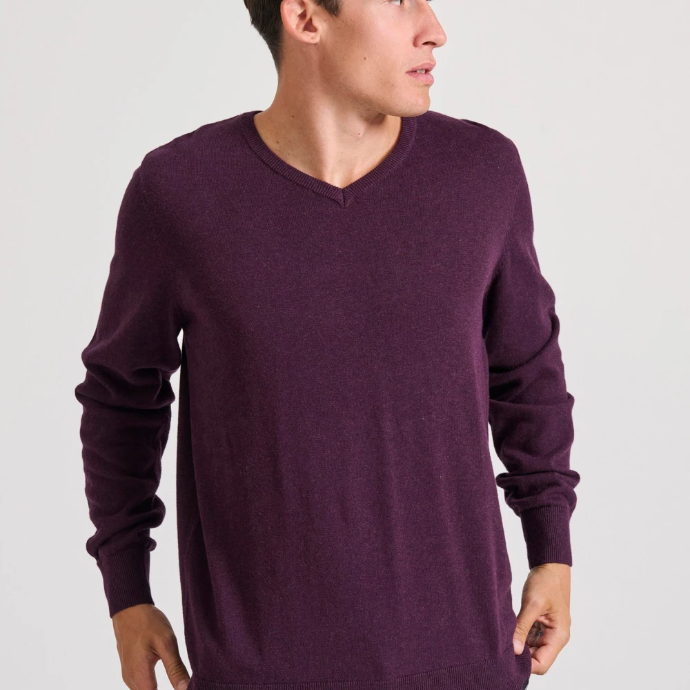 FUNKY BUDDHA Ανδρικό πουλόβερ με V λαιμόκοψη - The essentials
