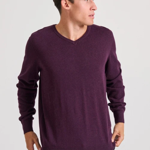 FUNKY BUDDHA Ανδρικό πουλόβερ με V λαιμόκοψη - The essentials