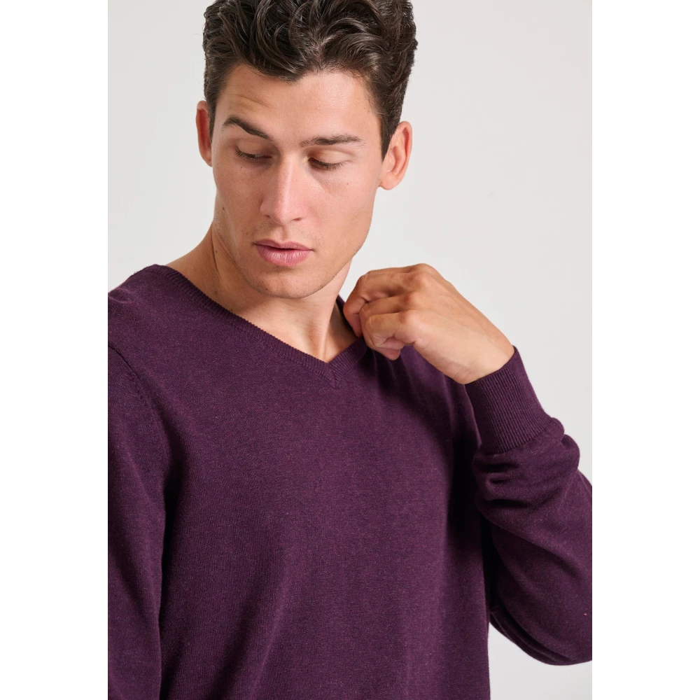 FUNKY BUDDHA Ανδρικό πουλόβερ με V λαιμόκοψη - The essentials