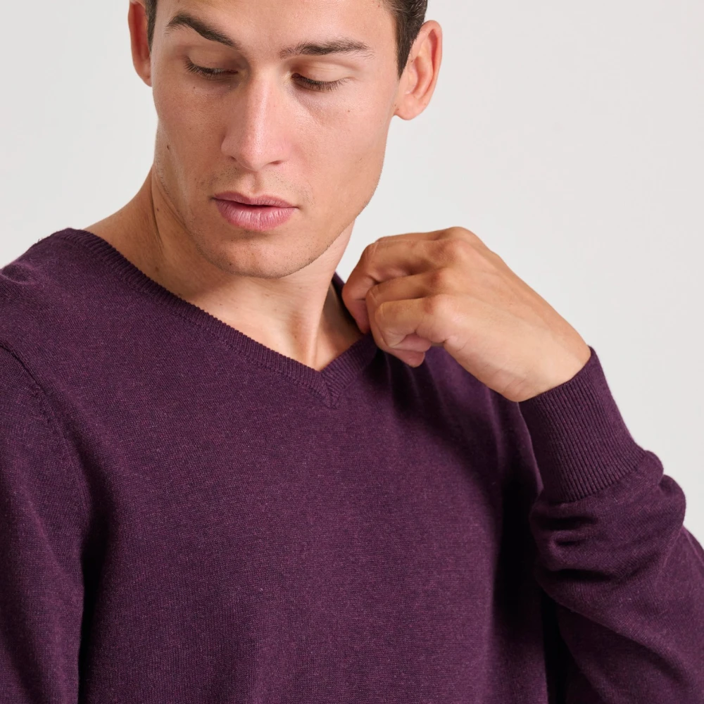 FUNKY BUDDHA Ανδρικό πουλόβερ με V λαιμόκοψη - The essentials