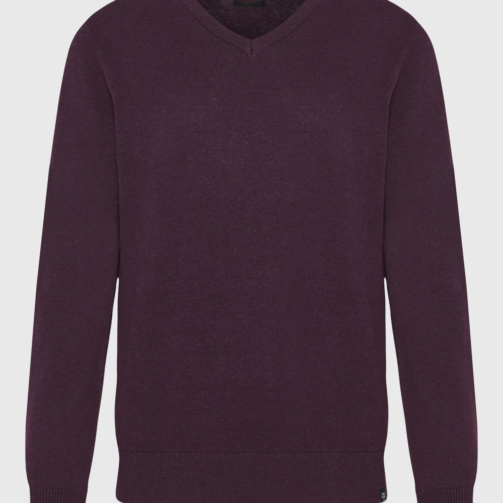 FUNKY BUDDHA Ανδρικό πουλόβερ με V λαιμόκοψη - The essentials