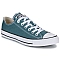 Unisex Sneakers Low Top  Chuck Taylor All A10537C