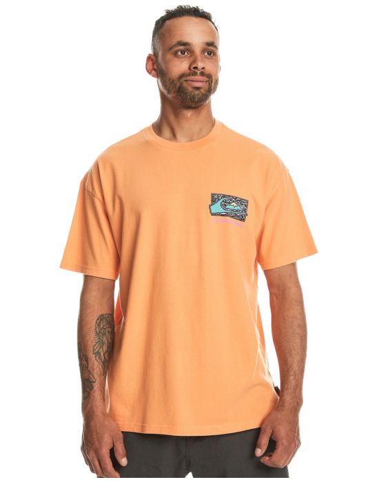 Ανδρικό T-Shirt Spin Cycle EQYZT07653